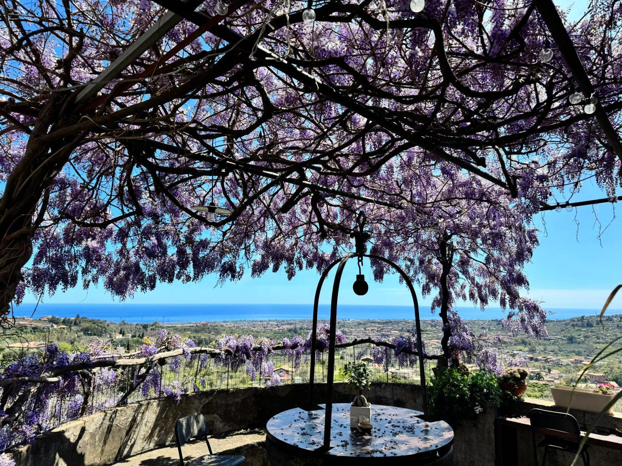 Bed and Breakfast Il Noceto Dell'Etna Giarre Exterior foto